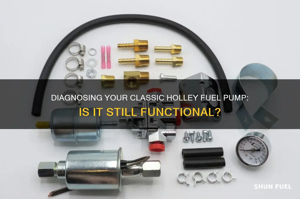 how to know if old holley fuel pump is working