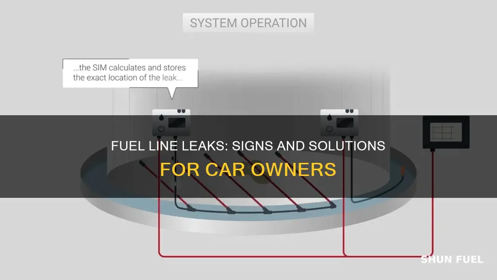 how to know if u have a fuel line leak