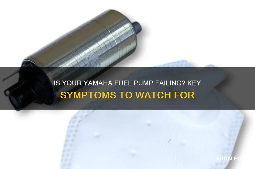 how to know if yamaha fuel pump is bad