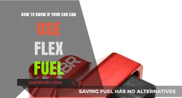 Is Your Car Flex Fuel Ready? Here's How to Check