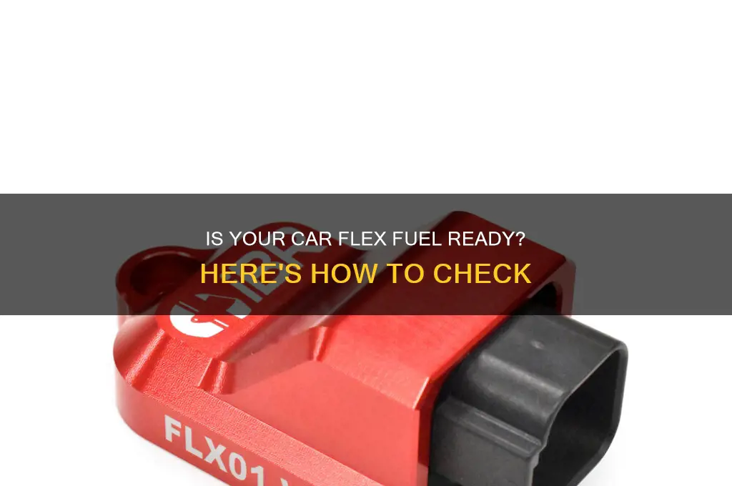 how to know if your car can use flex fuel