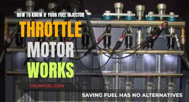 Diagnosing Fuel Injector Throttle Motor Functionality