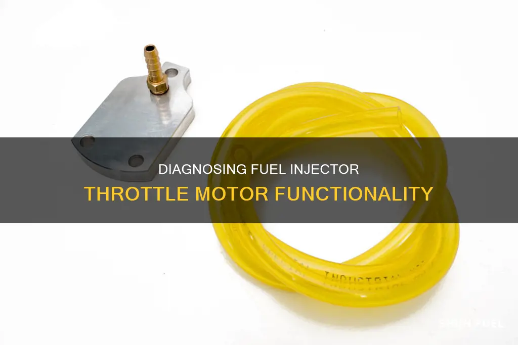 how to know if your fuel injector throttle motor works