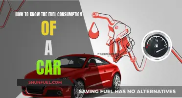 Understanding Car Fuel Efficiency: Tracking Consumption Rates
