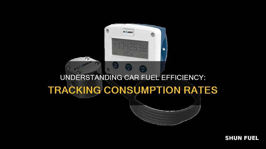 how to know the fuel consumption of a car