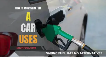What Fuel Does Your Car Need?