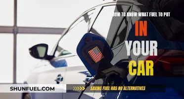 What Fuel Does Your Car Need?