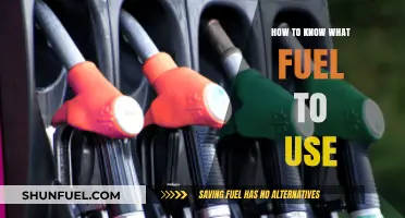 Choosing the Right Fuel: A Comprehensive Guide for Vehicle Owners