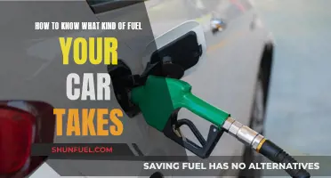 What Fuel Does My Car Need?