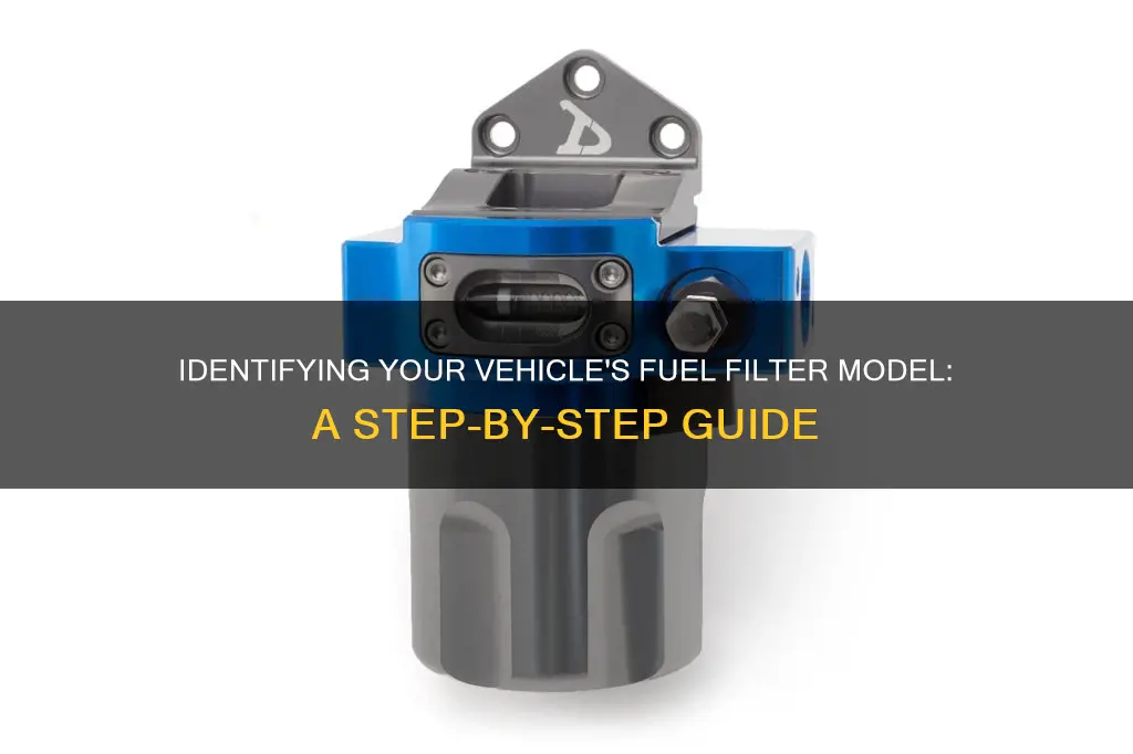 how to know what model fuel filter you have