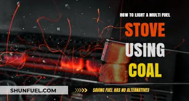 Mastering Multi-Fuel Stoves: A Step-by-Step Guide to Lighting Coal