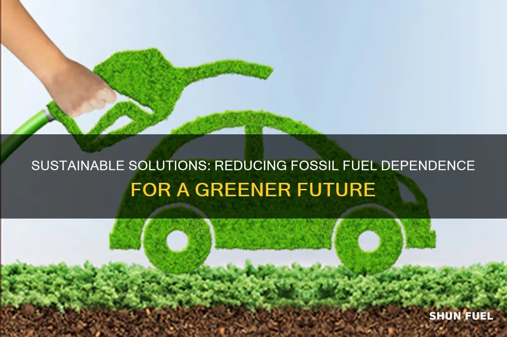 how to limit burning of fossil fuels