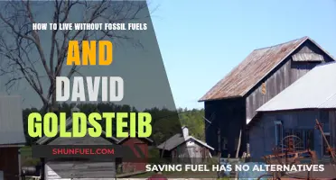 Sustainable Living: David Goldstein's Guide to a Fossil Fuel-Free Life
