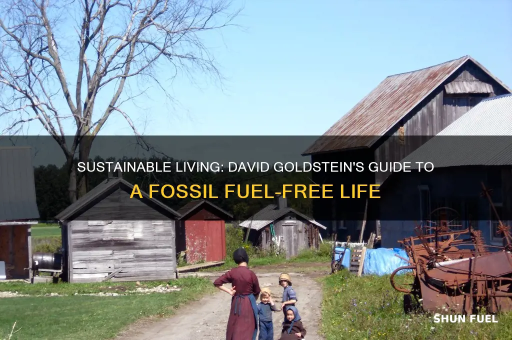 how to live without fossil fuels and david goldsteib