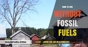 Sustainable Living: Embracing a Fossil Fuel-Free Lifestyle for a Greener Future