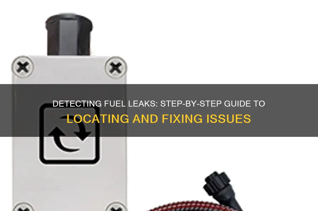 how to locate fuel leak