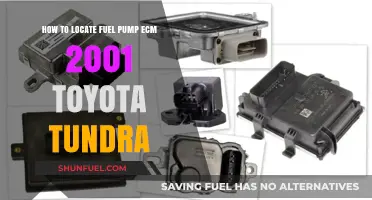 Locate Your 2001 Toyota Tundra's Fuel Pump ECM: A Step-by-Step Guide