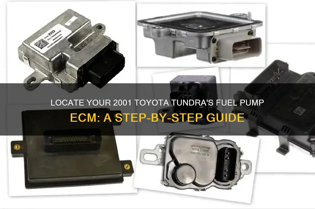 how to locate fuel pump ecm 2001 toyota tundra