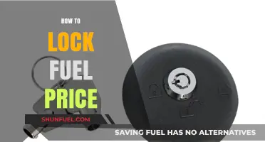 Secure Your Budget: Strategies to Lock in Fuel Prices Effectively
