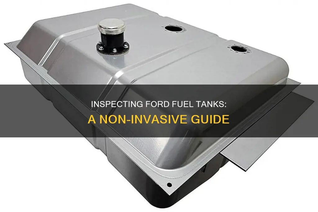 how to look inside ford fuel tank without removing it