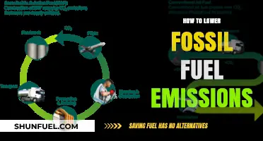 Sustainable Solutions: Effective Strategies to Reduce Fossil Fuel Emissions