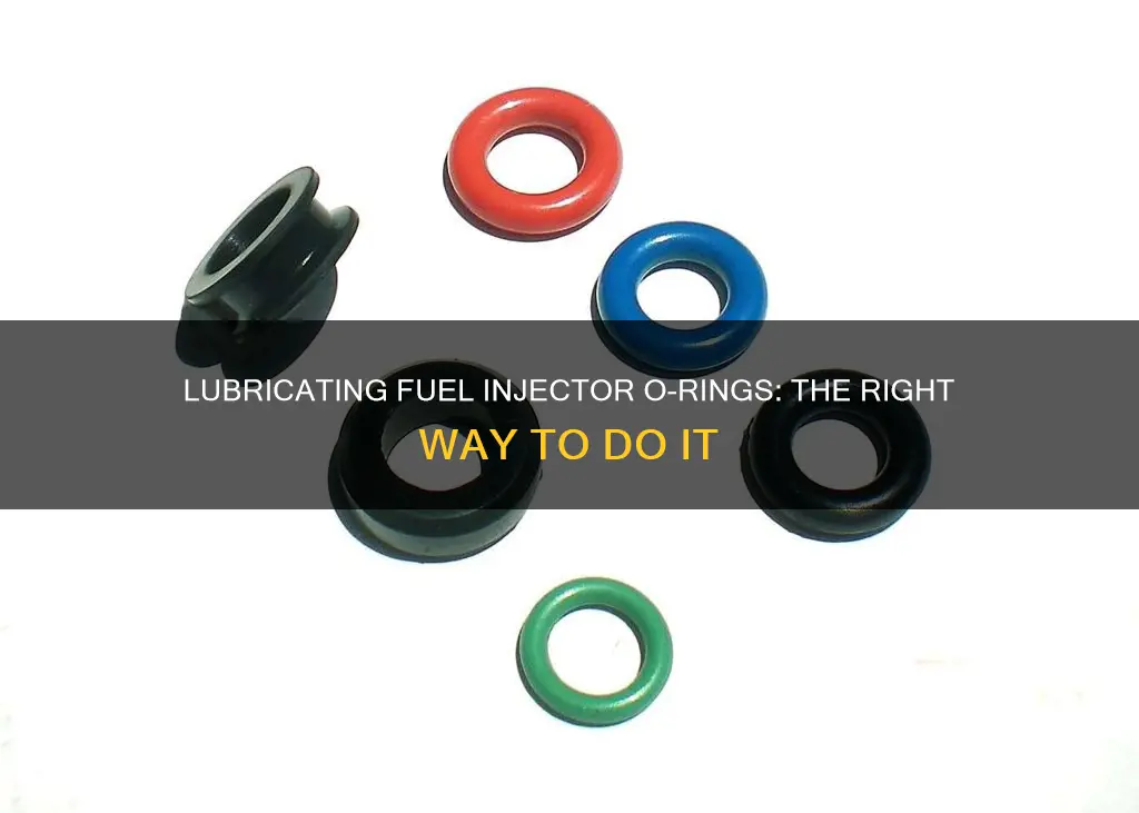 how to lube fuel injector o ring