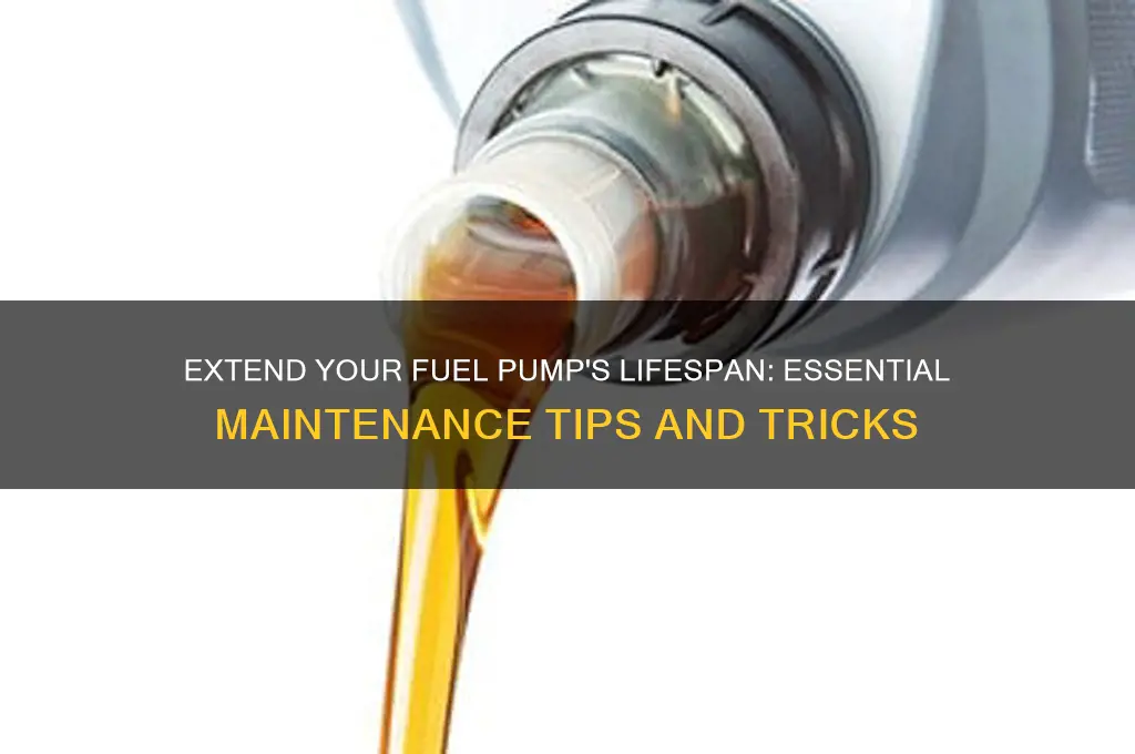 how to make a fuel pump last longer