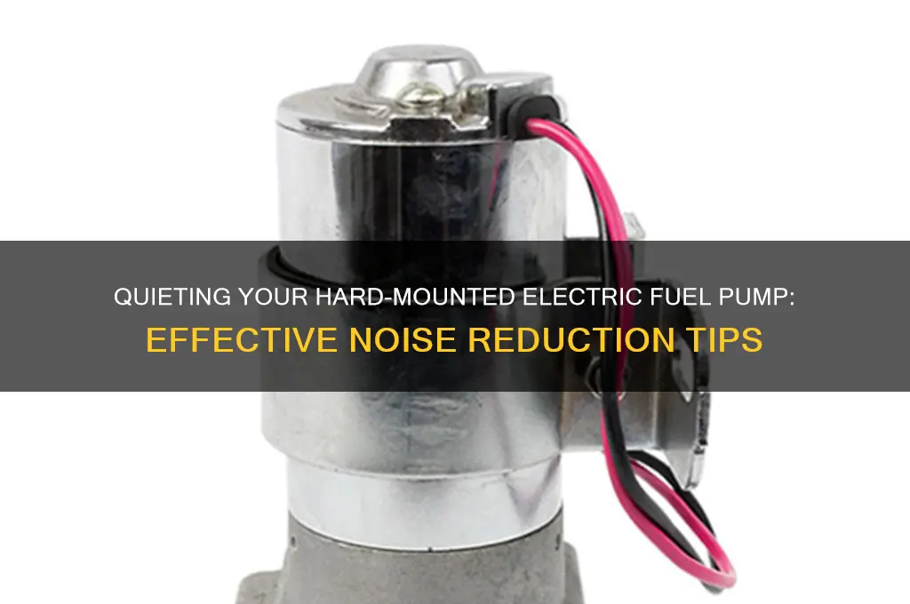 how to make a hard mounted electric fuel pump quieter
