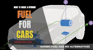 The Future of Cars: Hydrogen Fuel Cell Technology