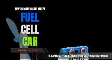 Creating a Salt Water Fuel Cell Car: DIY Guide