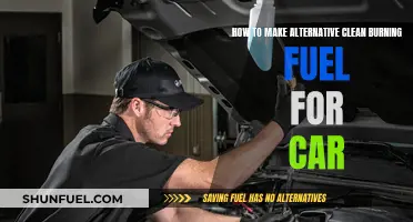 Making Clean-Burning Car Fuel: Alternative Methods and Solutions