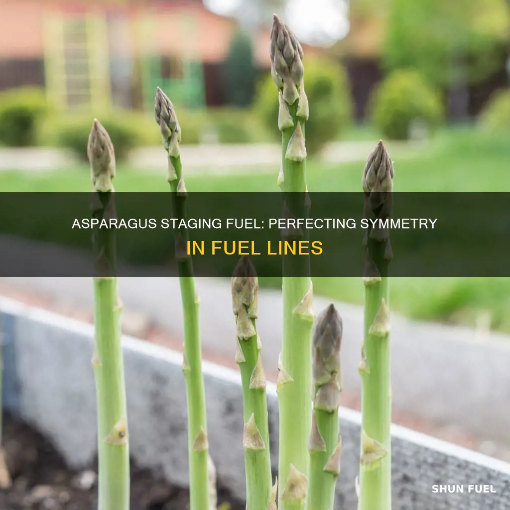 how to make asparagus staging fuel lines symmetrical