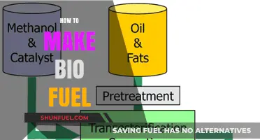 Sustainable Energy Solutions: A Step-by-Step Guide to Making Biofuel at Home