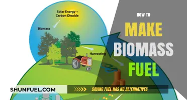 Sustainable Energy Solutions: A Step-by-Step Guide to Making Biomass Fuel