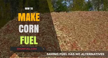Sustainable Energy Solutions: Crafting Corn-Based Biofuel for a Greener Future