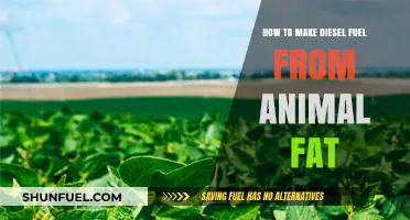 Transforming Animal Fat: Producing Diesel Fuel