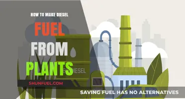 Creating Diesel Fuel: The Plant-Based Way