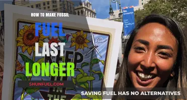 Sustainable Energy Strategies: Prolonging Fossil Fuel Reserves for Future Generations