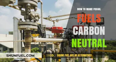 Achieving Carbon Neutrality: Strategies to Decarbonize Fossil Fuel Use