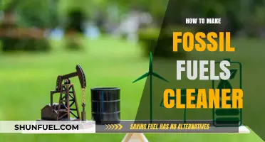 Innovative Strategies to Reduce Emissions and Clean Up Fossil Fuels