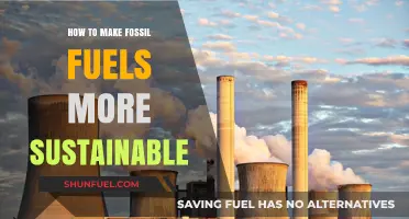 Greening Fossil Fuels: Strategies for Sustainable Energy Transition