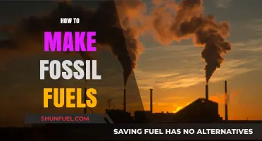Creating Fossil Fuels: A Guide to the Process