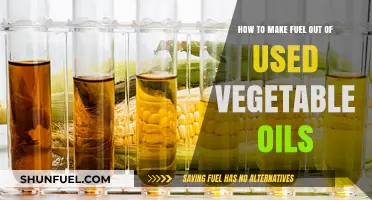 Transforming Used Vegetable Oils into Eco-Friendly Fuel: A DIY Guide