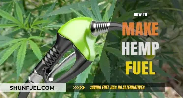Sustainable Energy Guide: Crafting Hemp Fuel for a Greener Future