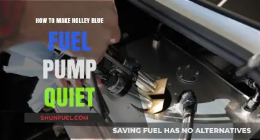 Effective Tips to Silence Your Holley Blue Fuel Pump Noise