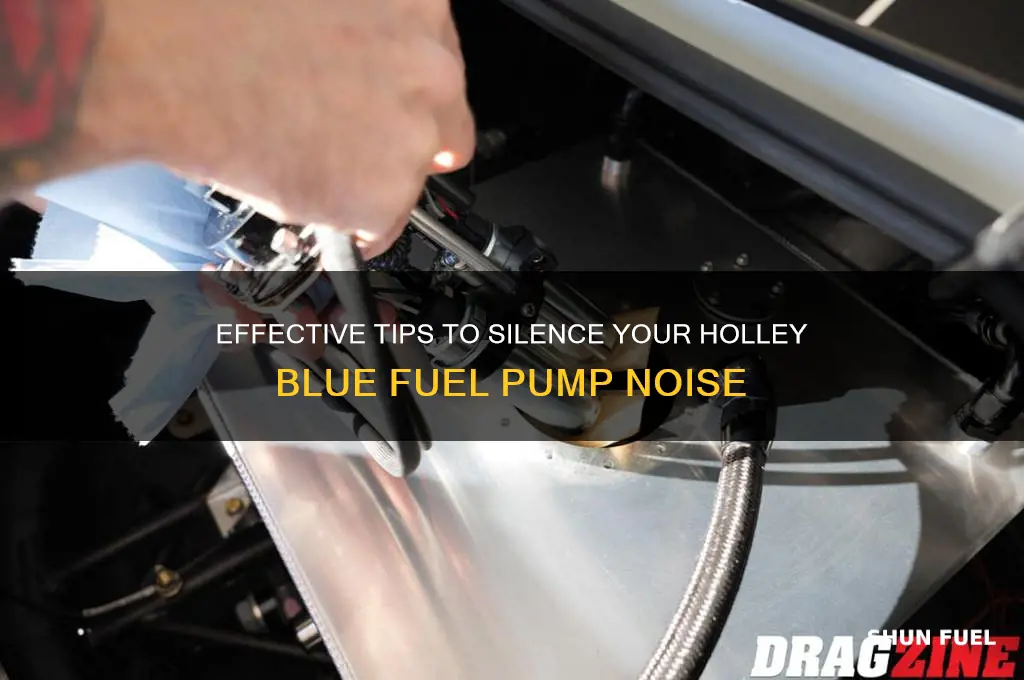 how to make holley blue fuel pump quiet