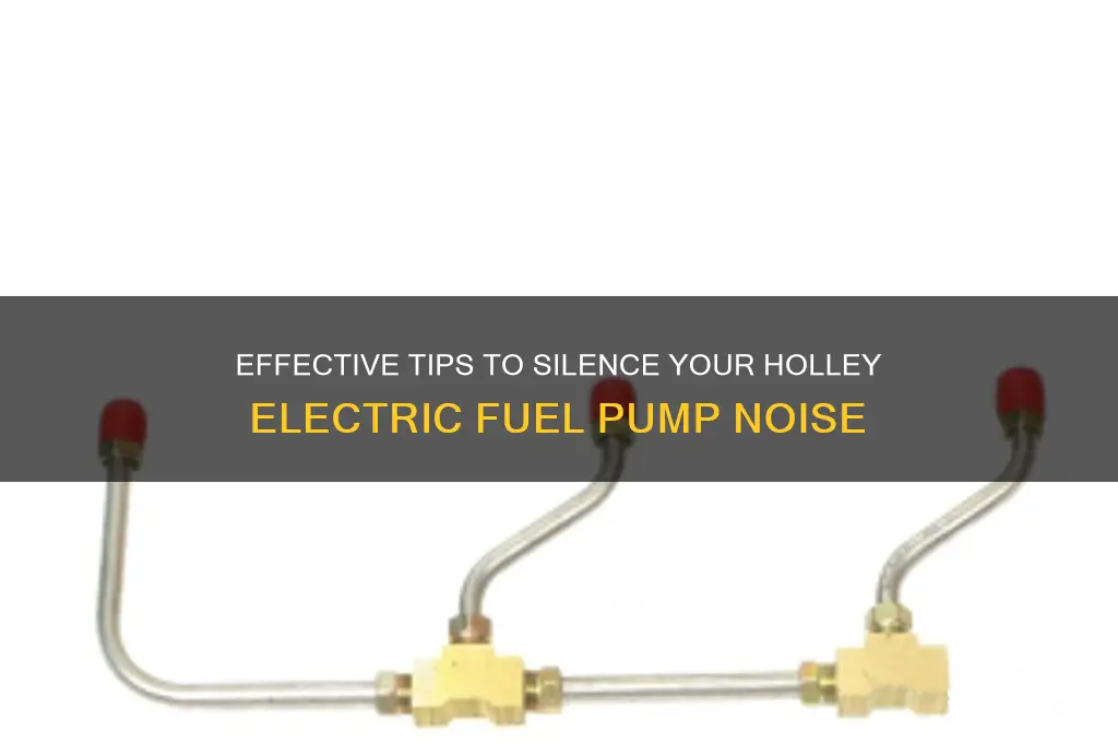 how to make holley electric fuel pump quieter