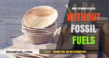 Sustainable Plastics: Crafting Eco-Friendly Materials Beyond Fossil Fuels