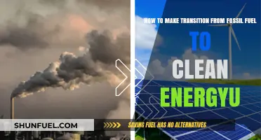 Accelerating the Shift: Transitioning from Fossil Fuels to Clean Energy Solutions