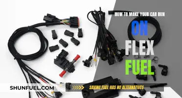 Flex Fuel Conversion: Make Your Car Run on Flex Fuel
